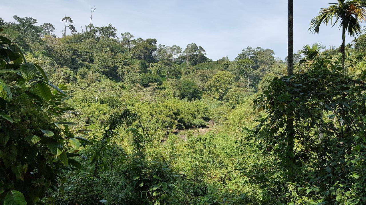 Kanthanpara Resorts Meppādi Esterno foto